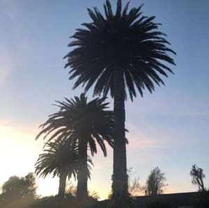 Meet your Posher, Jesse